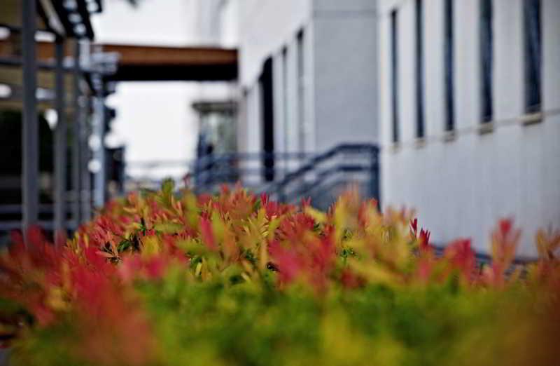Apartamentos Vertice Sevilla Aljarafe Бормухос Экстерьер фото